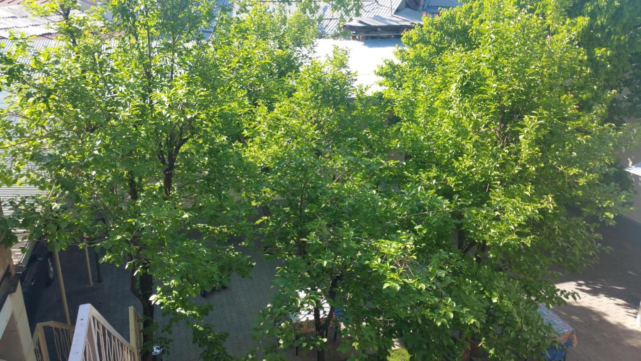 굴나라 게스트하우스 타슈켄트 외부 사진